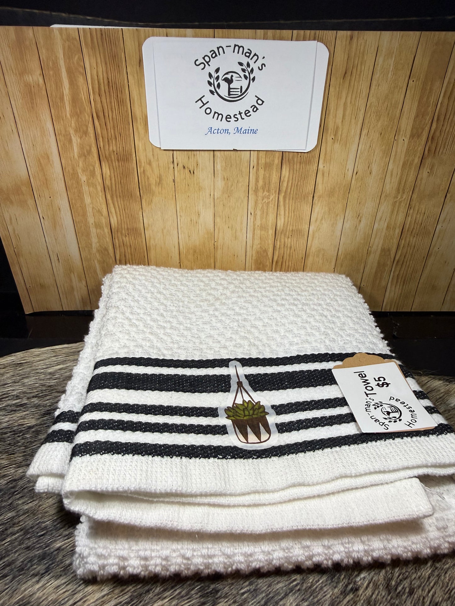 Succulent Dish Towel