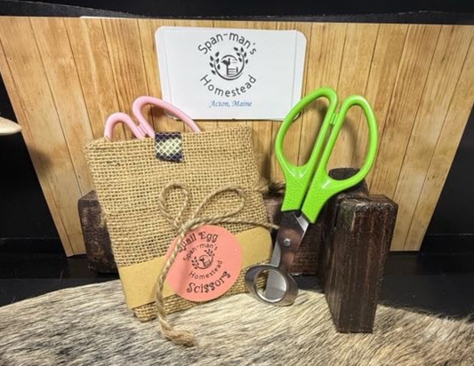 Quail Egg Scissors & Bag